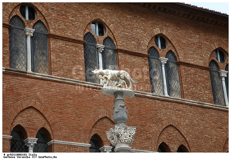 ������, �����, ������