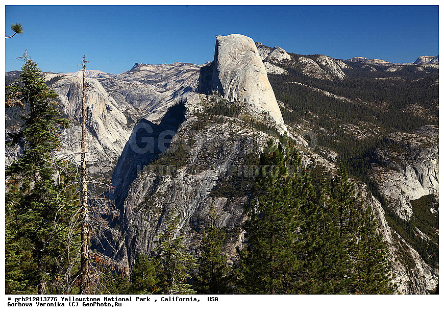 ��������, ������������ ����, ����������, ���