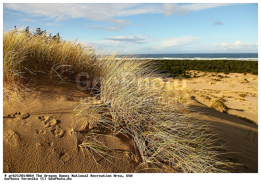 Oregon Dunes, ������������ ����, ������, ���, ����