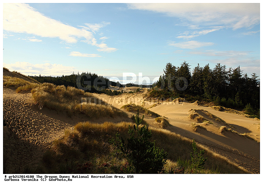 Oregon Dunes, ������������ ����, ������, ���, ����