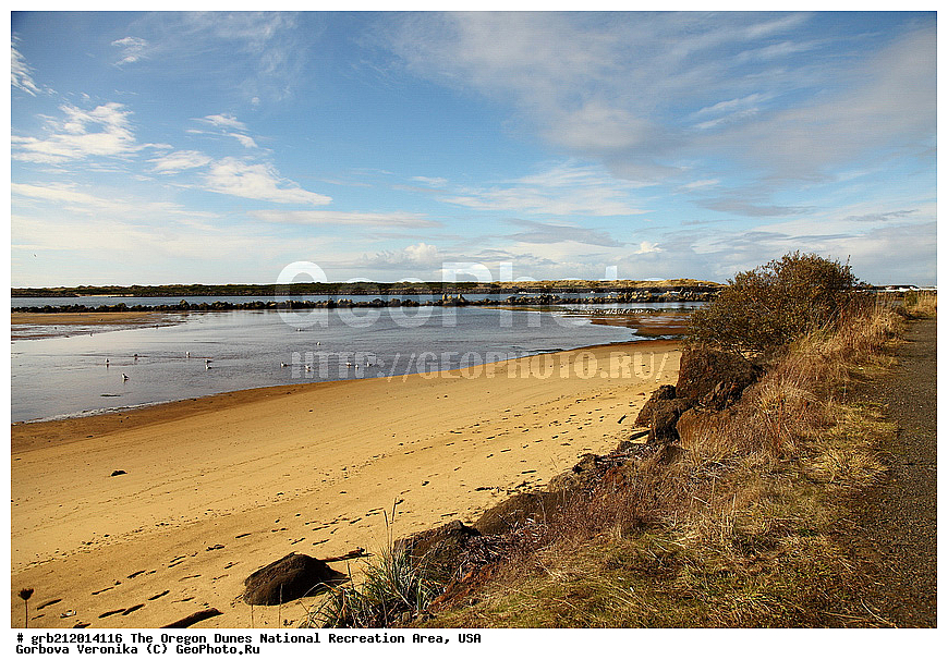 Oregon Dunes, ������������ ����, ������, ���, ����