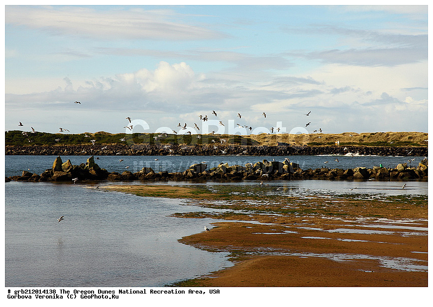 Oregon Dunes, ������������ ����, ������, ���, ����