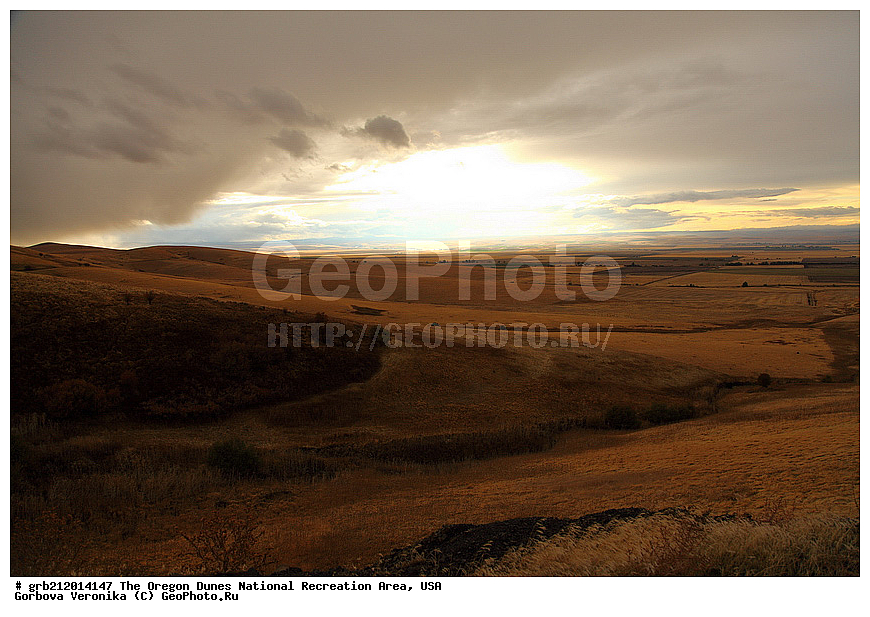 Oregon Dunes, ������������ ����, ������, ���, ����