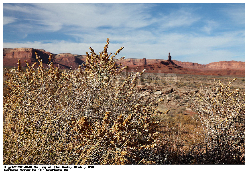  Valley of the Gods, ������������ ����, ���, ���