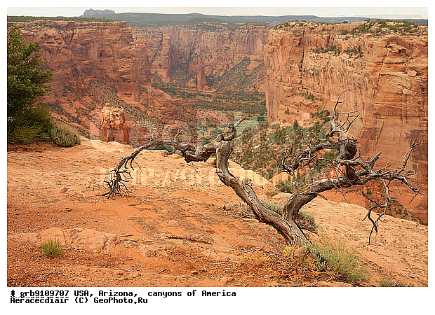 �������, �������, ������ �� ����, ������� �������, ���, ������