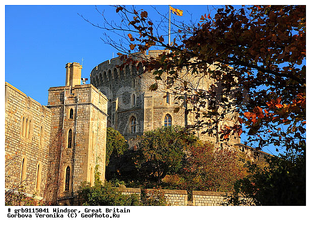 ������, ��������������, ��������, ����������� �����, �����������, �����, ����������