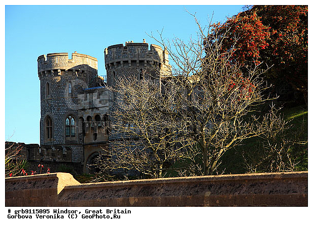 ������, ��������������, ��������, ����������� �����, �����������, �����, ����������