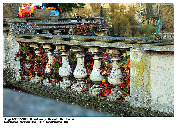 ������, ���, ��������������, ��������, ����������� �����, �������, �����������, �����, ����, ����������