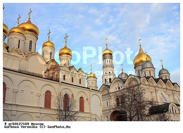 ������, ����, ������� ������, �������, ����������, ������, ������, ����������, �����, ��������, ����, �������� �����������