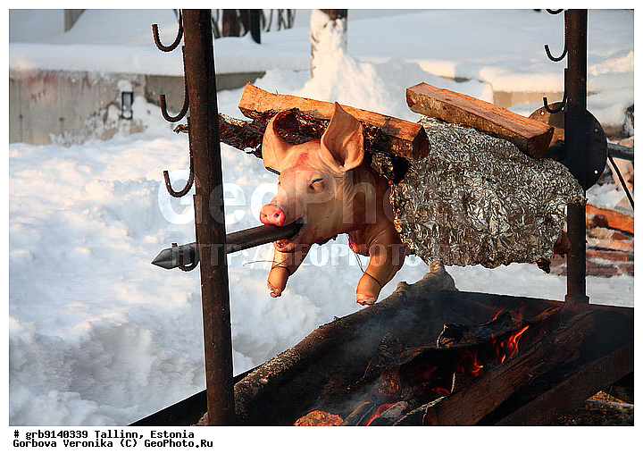 ����, ����������, ������, ����������, �������, ������, ������� ���������, ��������� �� �������, ������������� ����, �������