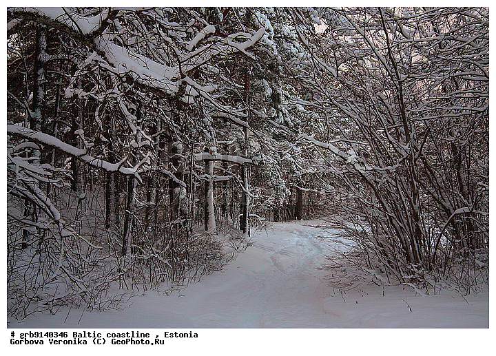 ����, ���������, ����� ���, ���������, ����������, �������, �����, ����� ������ ��������, ������� � �����, ������ � �����, ���, �����, ����� � ����, ����� ��������, ����������� ���, ���������, ������, ������ ���, �����, ���������, ��� ������, ��������� �������, ������� �����, �������, ������� ����, ����, ������� �������, �����, �������, �������� �� �����, �������