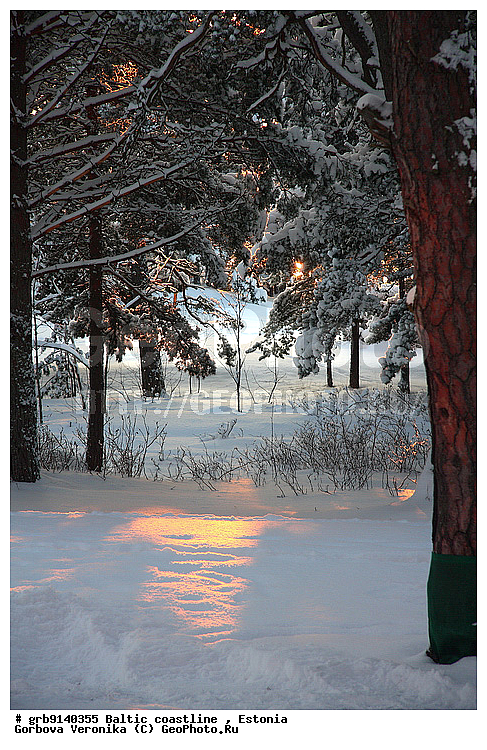 ����, ���������, ����� ���, �����������, ���������, ����������, �������, �����, ����� ������ ��������, �������� ���������, � �����, ������� � �����, ������ ��� ������, ���, �����, ����� � ����, ����� �����, ����� ��������, �����������, ����������� ���, ���������, ������, ������ ���, ������ ������, ���������, ��� ������, �������� �������, ������� � ����, �������, ������� ����, ����, �����, �������, �������