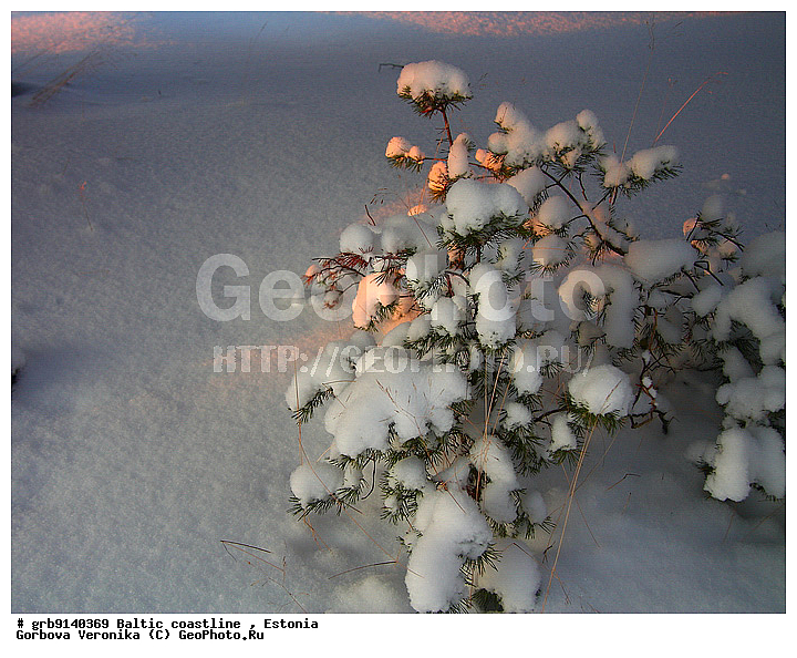 ����, ���������, ����� ���, ���������, ����������, �������, �����, ����� ������ ��������, ������� � �����, ������ � �����, ���, �����, ����� � ����, ����� ��������, ����������� ���, ���������, ������, ������ ���, ���������, ��� ������, ��������� �������, ������� �����, �������, ������� ����, ����, �����, �������, �������