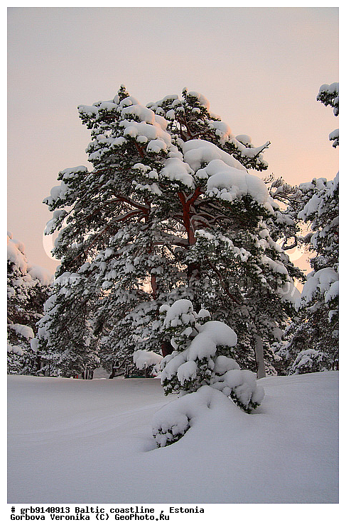 ����, ���������, ����� ���, ���������, ����������, �������, �����, ����� ������ ��������, ������� � �����, ������ � �����, ���, �����, ����� � ����, ����� ��������, ����������� ���, ���������, ������, ������ ���, ���������, ��� ������, ��������� �������, ������� �����, �������, ������� ����, ����, �����, �������, �������