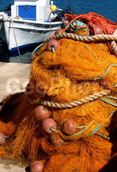 ������, ���������, �������, ����������� ����