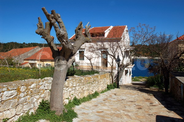 ������, ���������, �������, ����������� ����