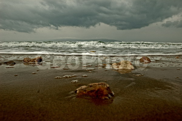 ������, ���������, �������, ����������� ����