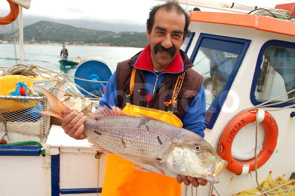 ������, ���������, �������, ����������� ����