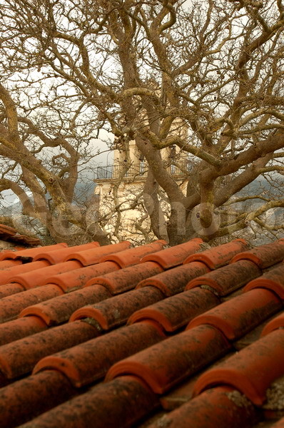 ������, ���������, �������, ����������� ����