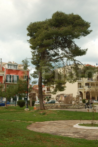 ������, ���������, �������, ����������� ����