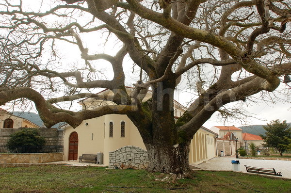 ������, ���������, �������, ����������� ����