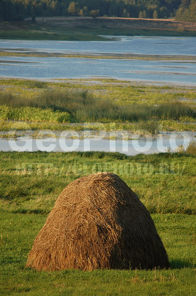 ������������, ����, ������, ������, ����������, ������, ������������, ����, ������