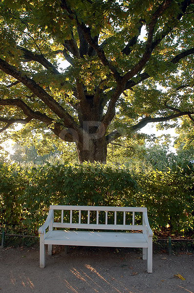 ������������, ����, ������, ������, ����������, ������, ������������, ����, ������