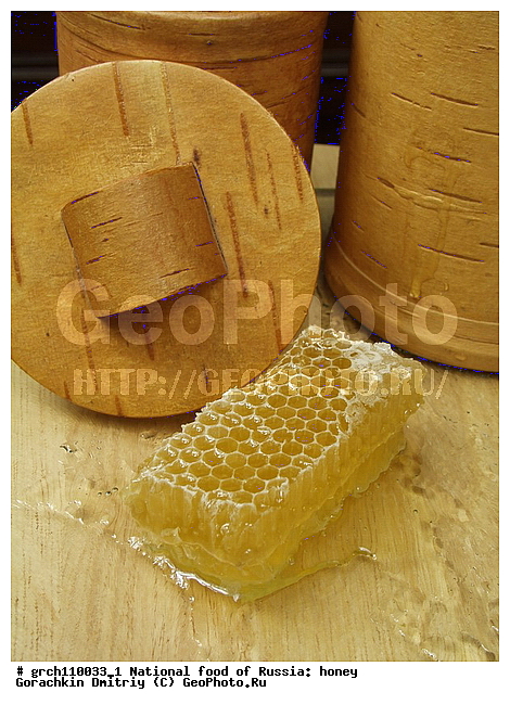 ������, �������, ������, ���, ������������ ��������, �����, ����, ����, ������