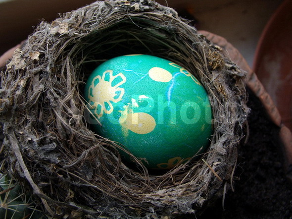 �����, ���, ��������, ������������, �����, ������������