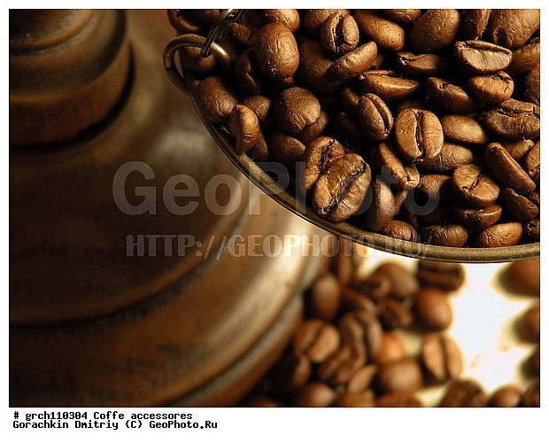 ����� ����, ����, �������� �����