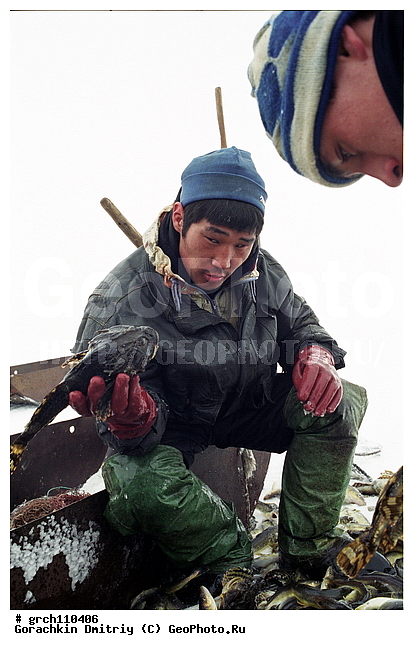 �������, ����, ��� ������, ����, �������, �������