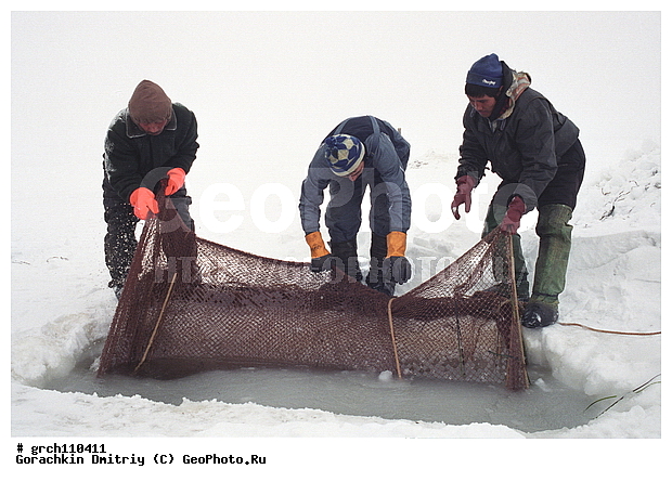 �������, ����, ��� ������, ����, �������, �������