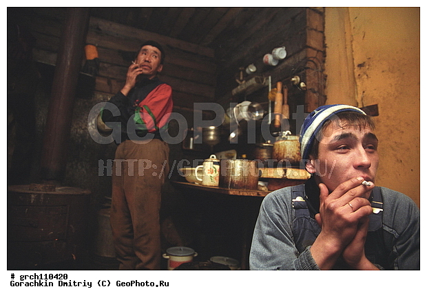 �������, ����