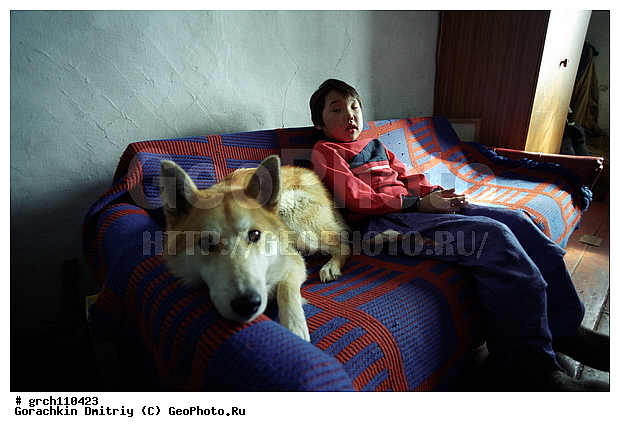 �������, ����, ��� ������, ����, �������, ������, �������