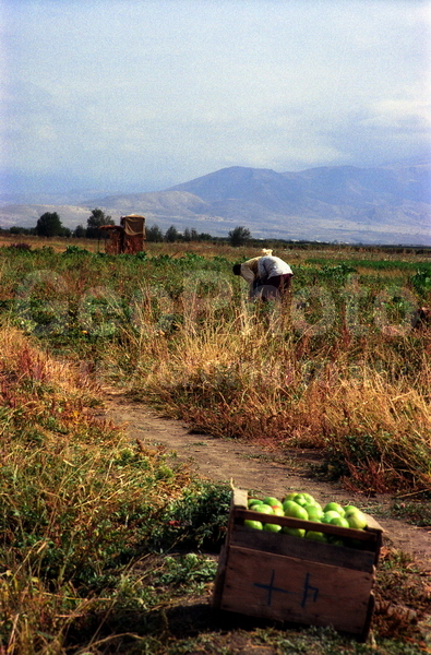 Armenia, �������, ����, �������� �����, �������� ���������
