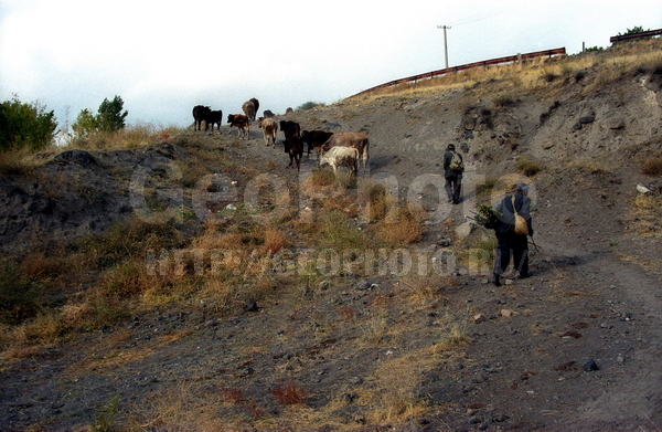 Armenia, �������, �������� ��������, ������, ����, ������, �������� ���������