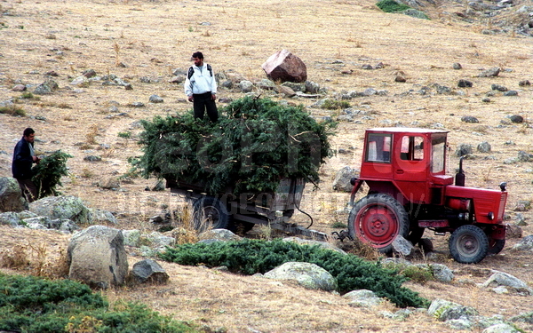 Armenia, �������, ����, �������� ���������, �������