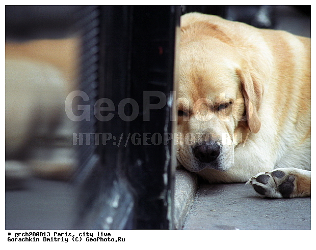 �����, �����, ����� ������, ��������, ��������, �����, �������, ������, ���, �����