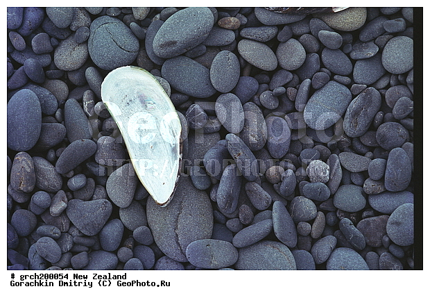 ����� ��������, �������, ������� ������, ��������, �������� ��������, �������� �� ������� ������, �����