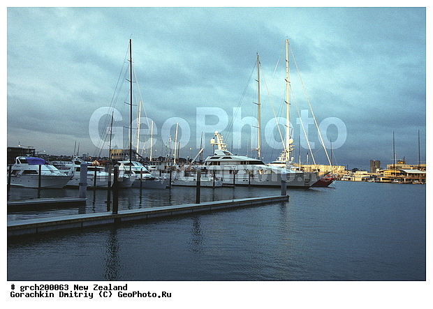 ����� ��������, ����� �����, �������