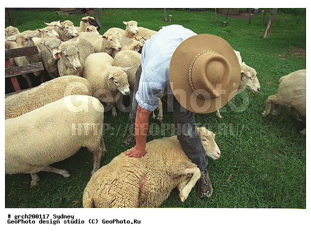 ���������, ����� ����� �����, ������