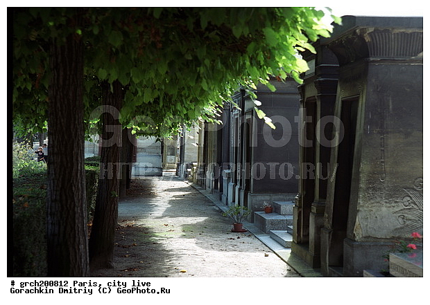 �����, �����, ����� ������