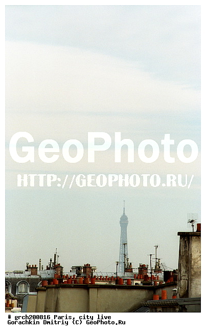 �����, �����, ����� ������