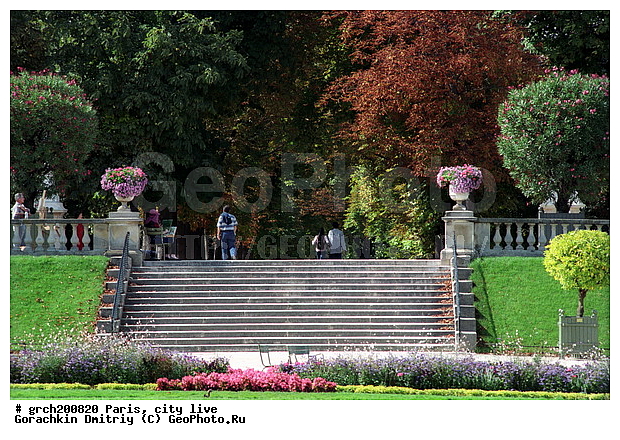 �����, �����, ����� ������