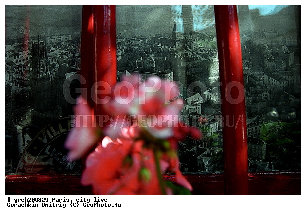 �����, �����, ����� ������