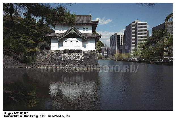 �����, ������