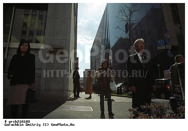 �����, ������