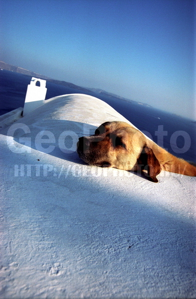 ������, ��, ��������, �������, ������