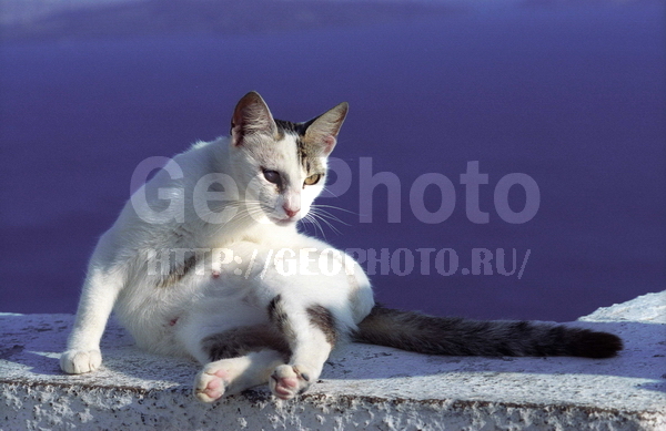 ������, ��, ��������, �������