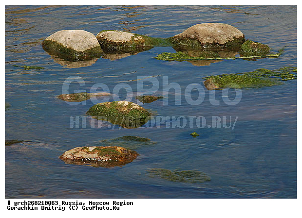 ����, ���, ���������, ��������� ����, ���������� �������, �������������������, ��������� ��������